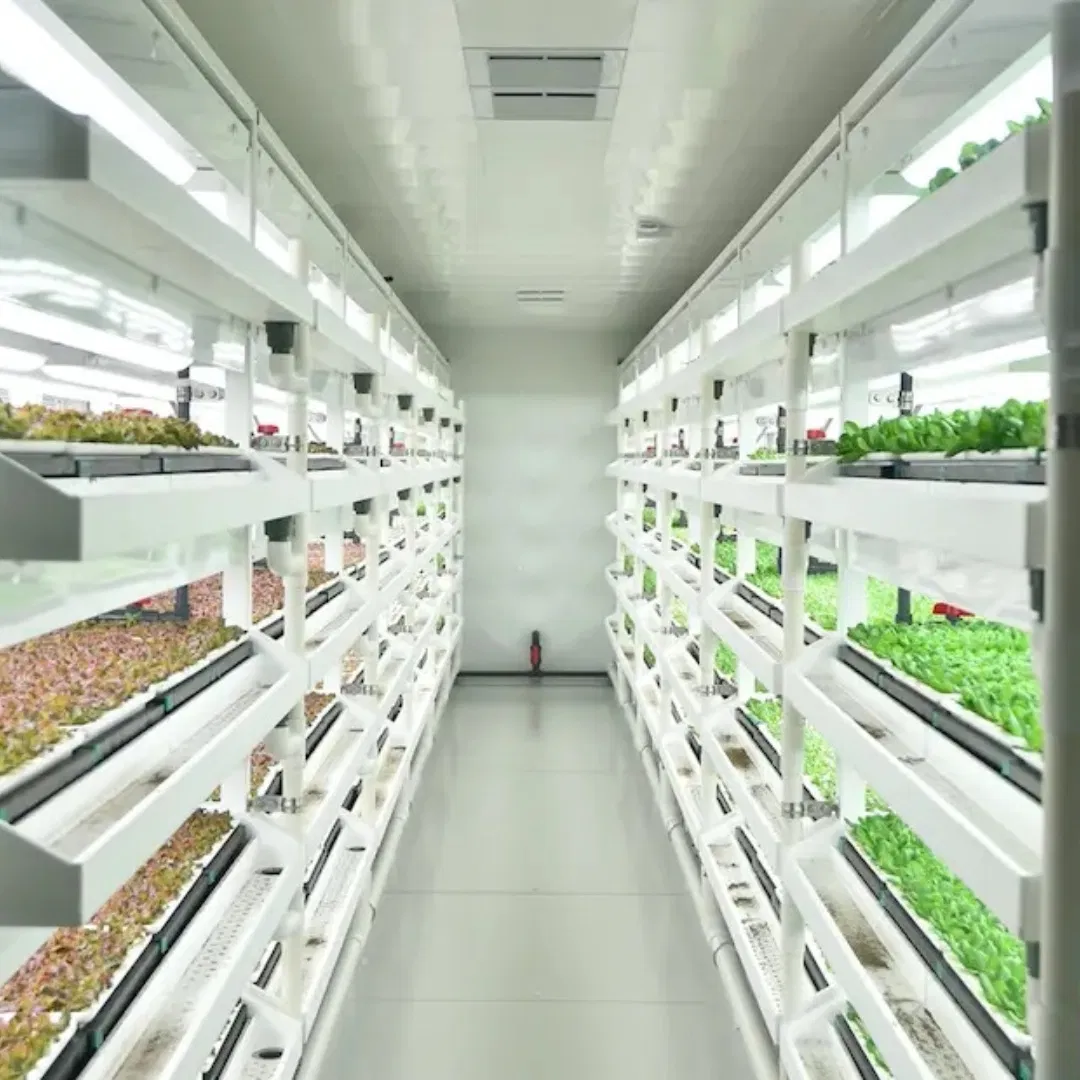 Commercial Container Greenhouse Solutions