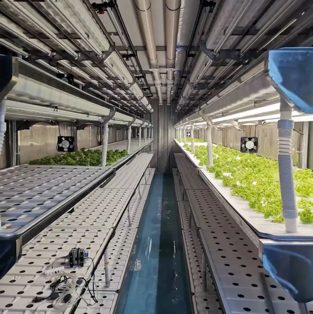 Design & Customization