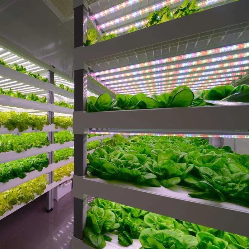 Hydroponic System Integration