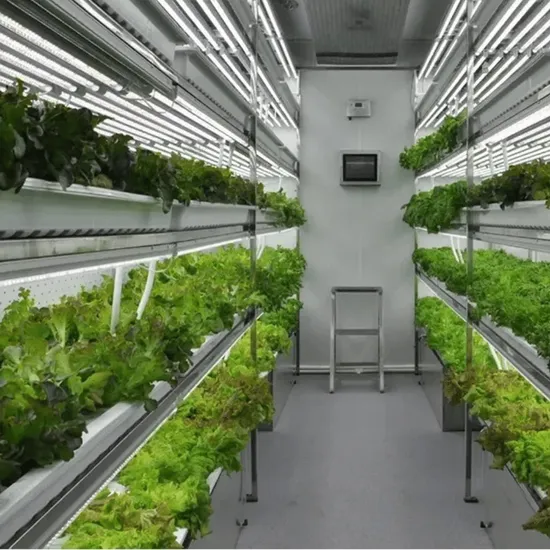 Hydroponic Shipping Container Greenhouse with LED System