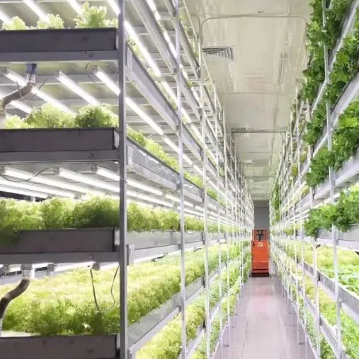 Vertical Farming Configuration